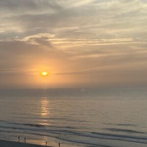 Meet your Posher, Dora